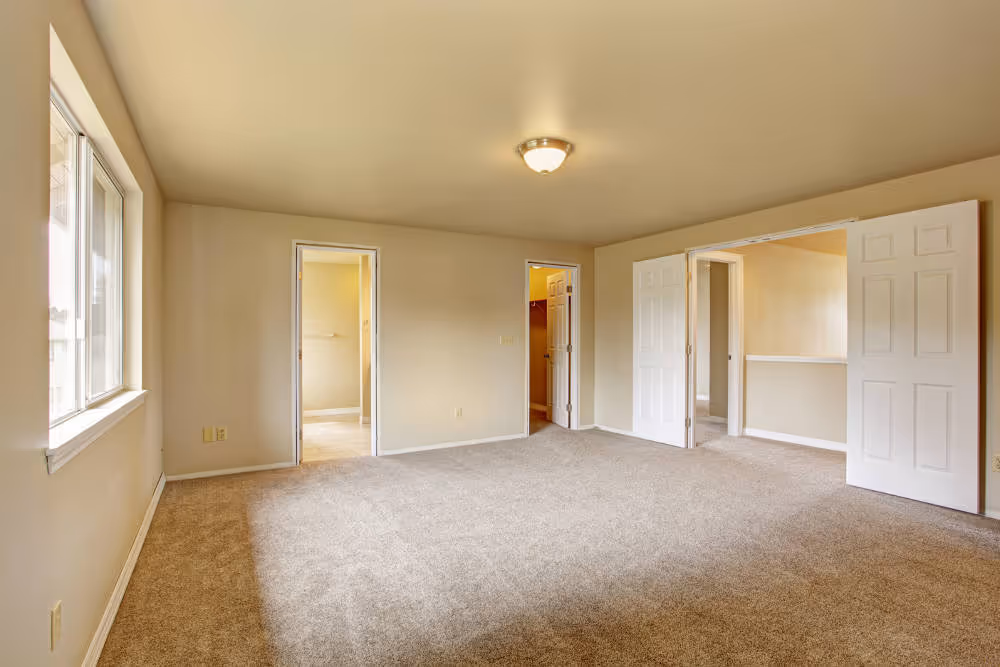 Budget-Friendly Carpet Solutions