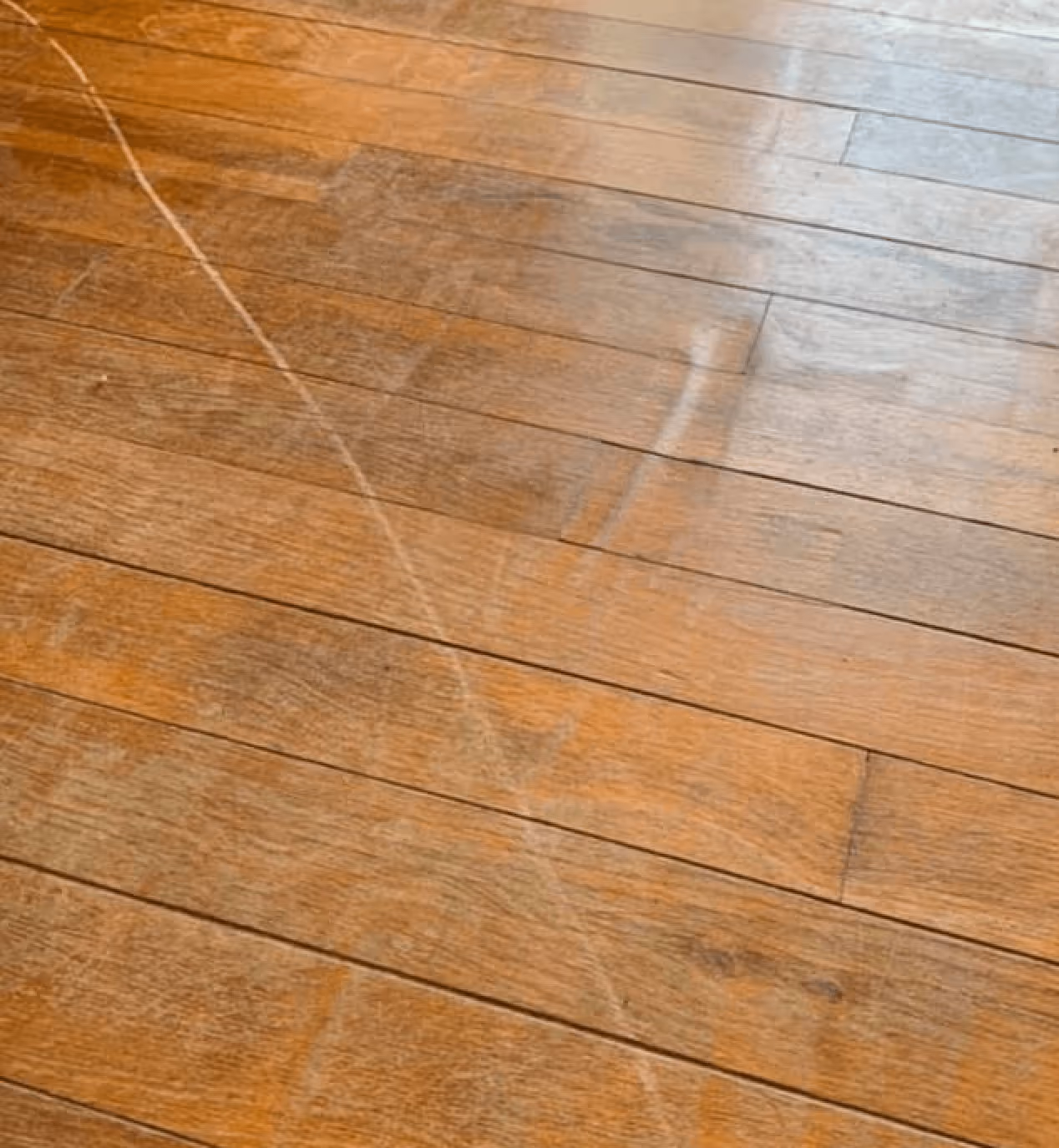 Floor rejuvenation services