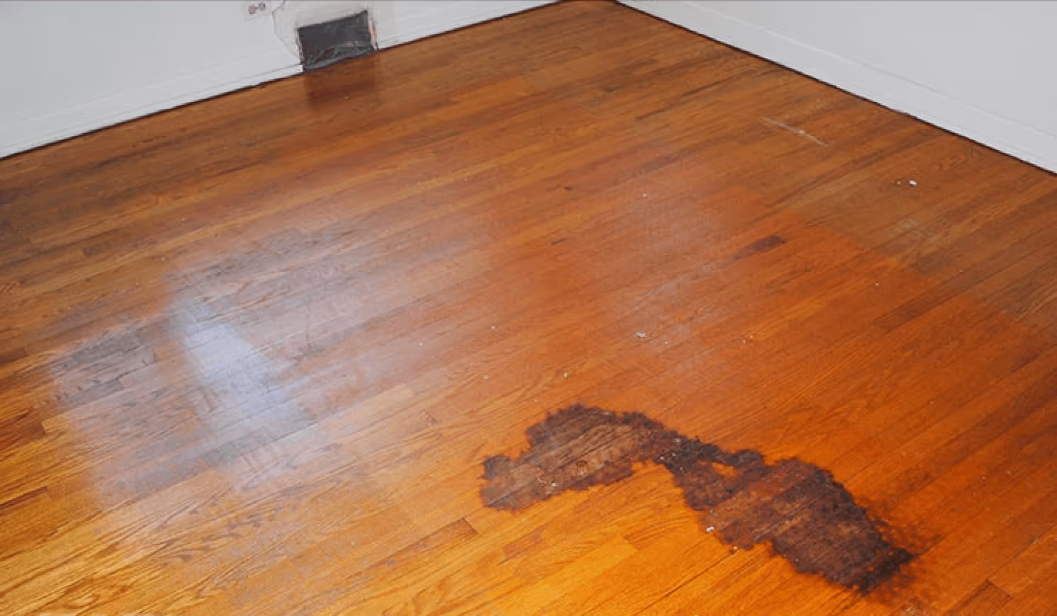 Floor polish and recoating