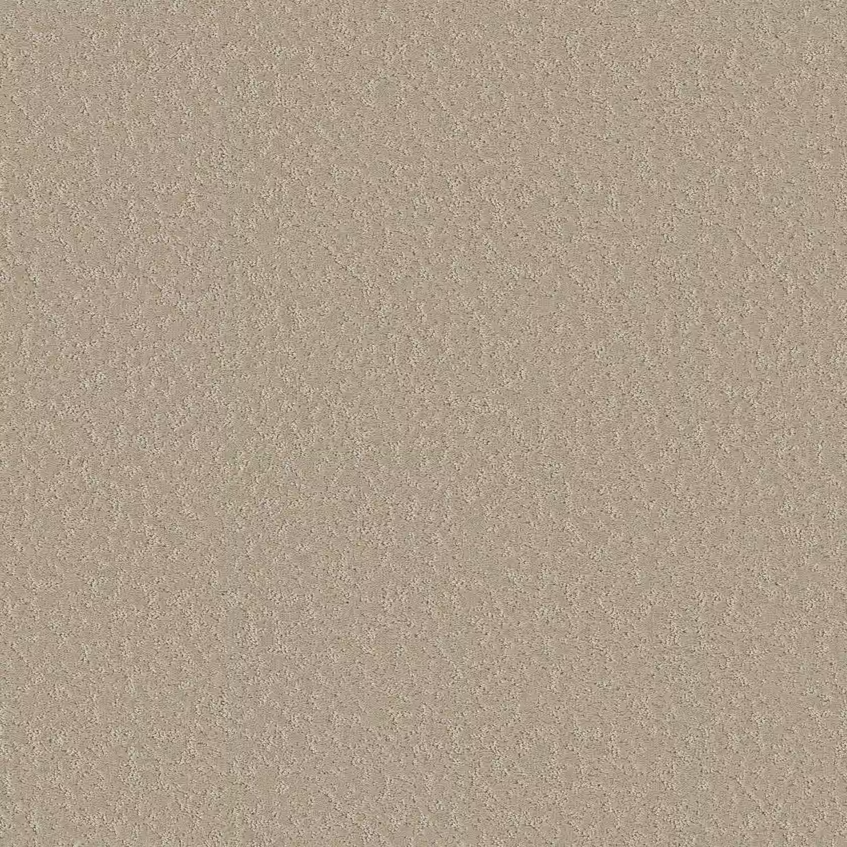 Textured cut pile carpet sample