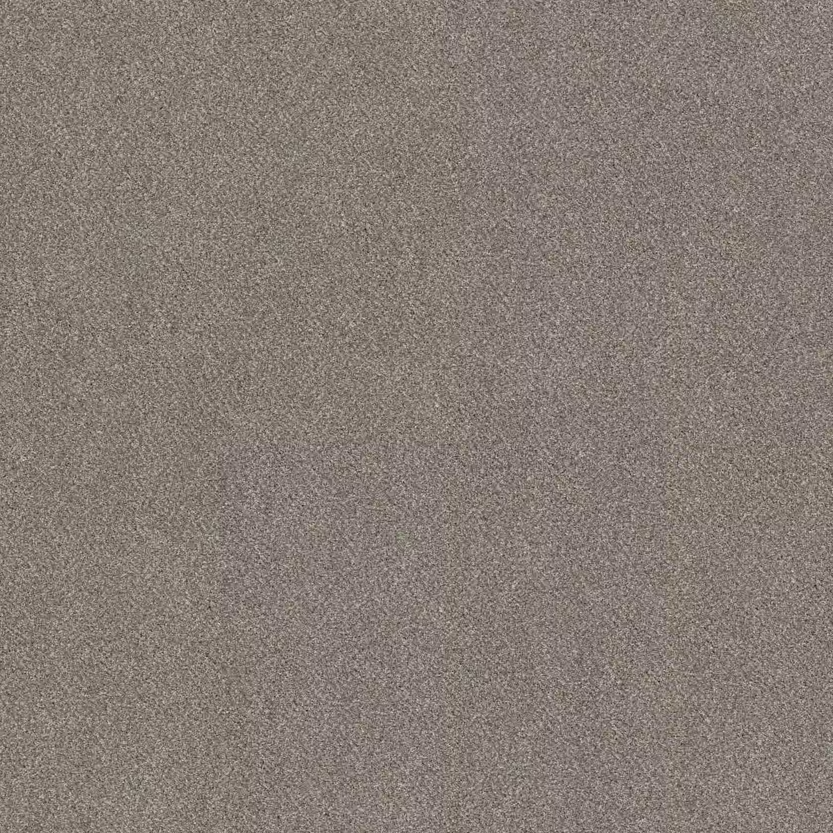 Pet-proof solution-dyed nylon carpet sample
