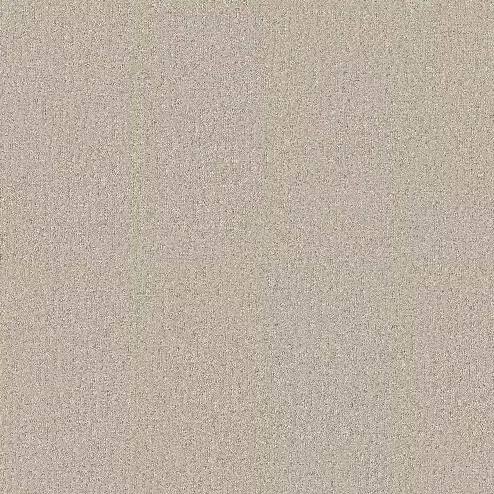 Pattern loop carpet sample