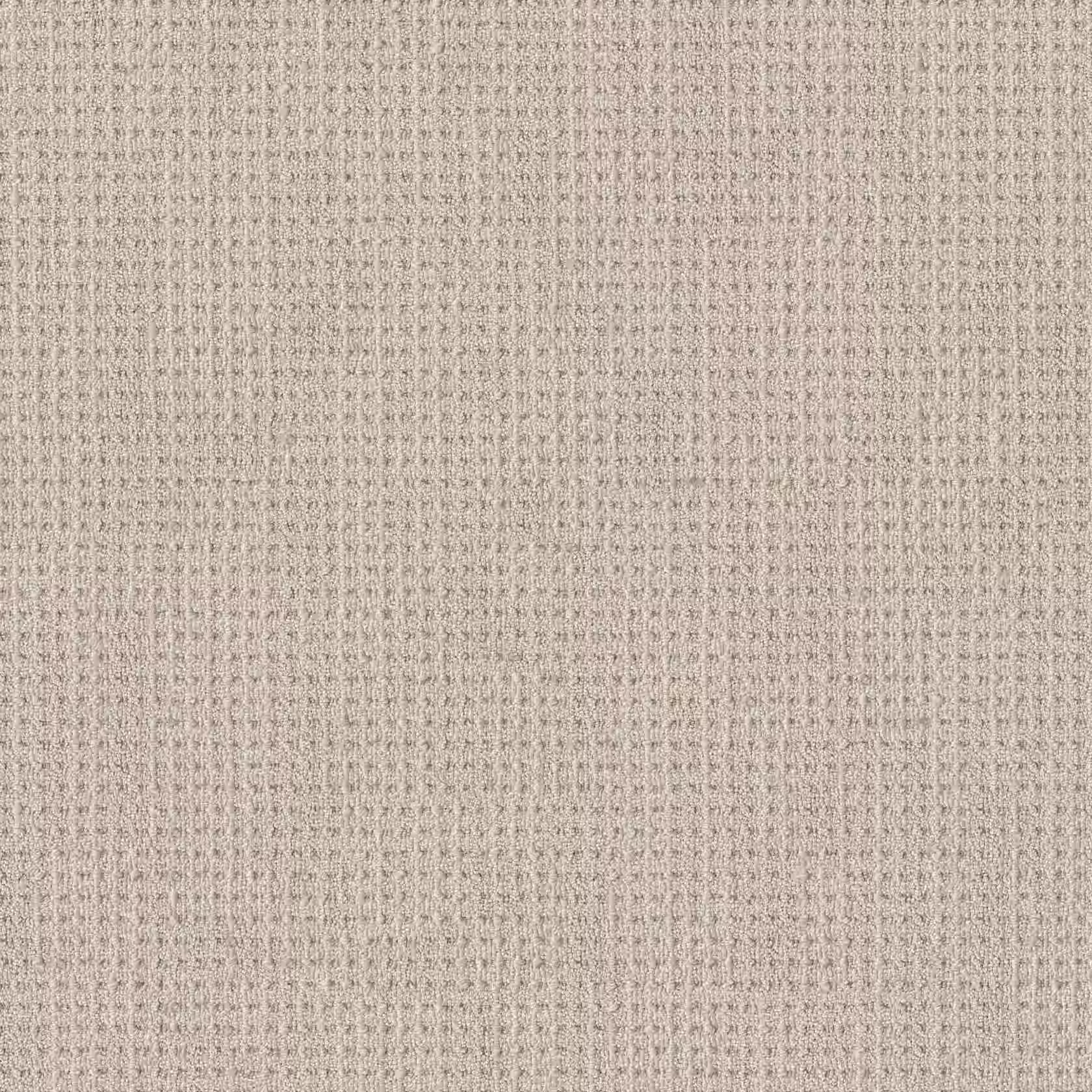 Commercial level loop carpet sample