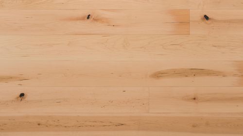 Tempo Maple 'Natural' flooring sample