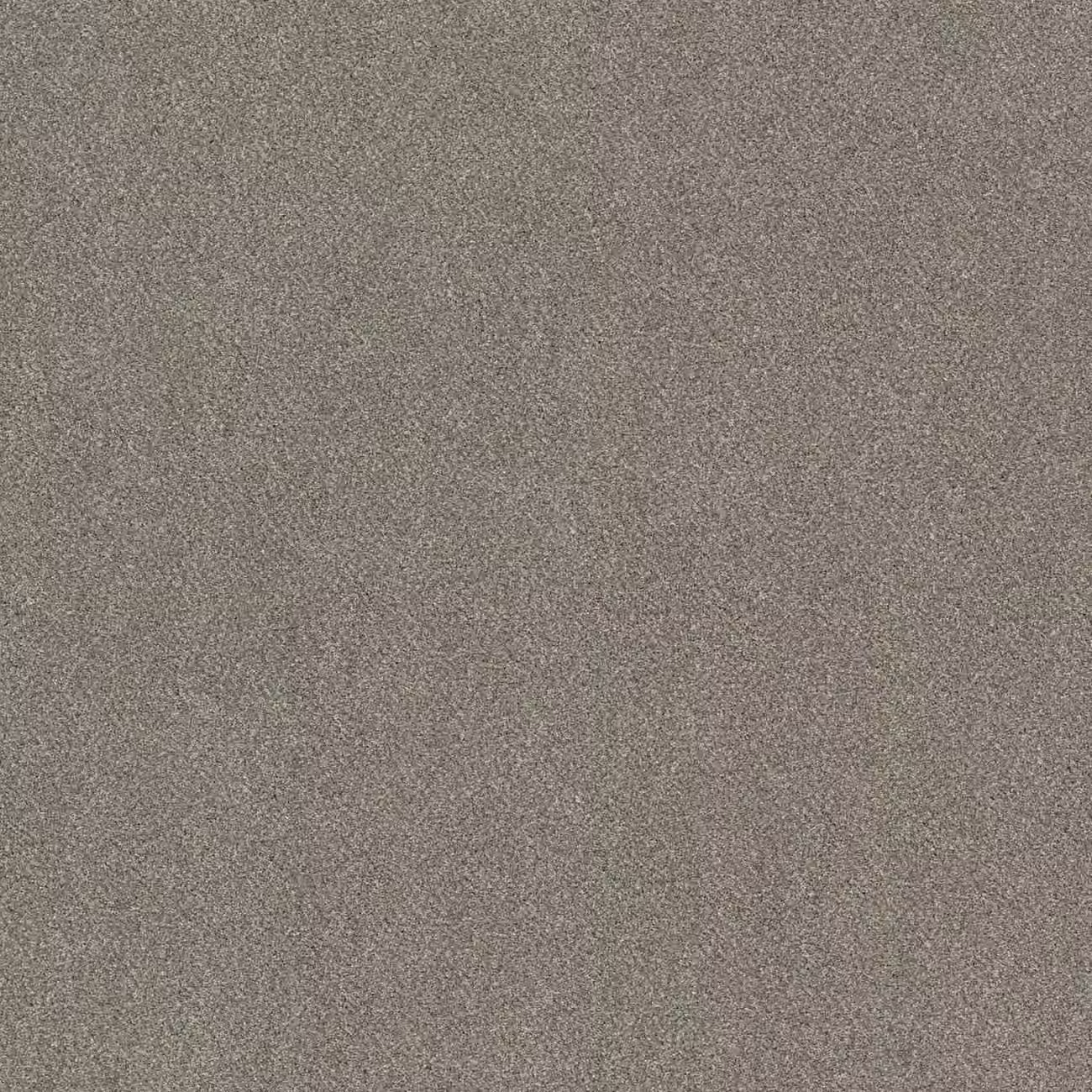 Pet-proof solution-dyed nylon carpet sample