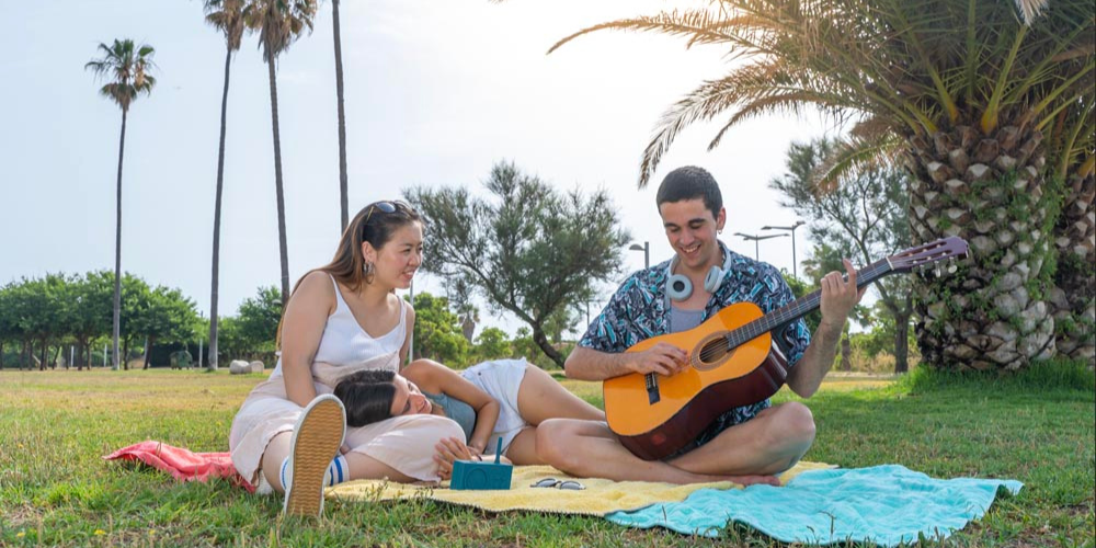 beginner guitar lessons