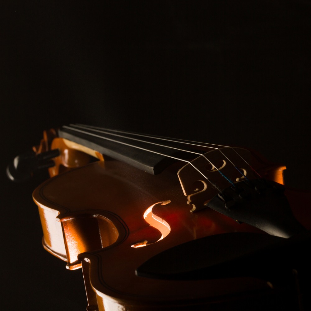 Learn Violin vs Viola: Which One Should You Choose?