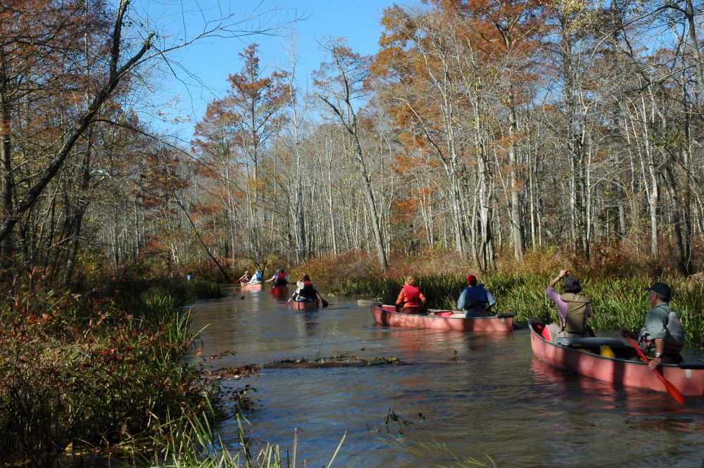 Celebrating 40 Years of Local Impact Along the Wolf River