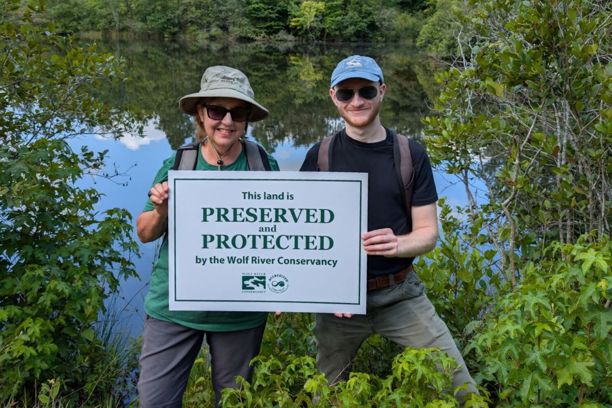Holly Springs National Forest: Protecting 244 Acres in the Wolf River Headwaters