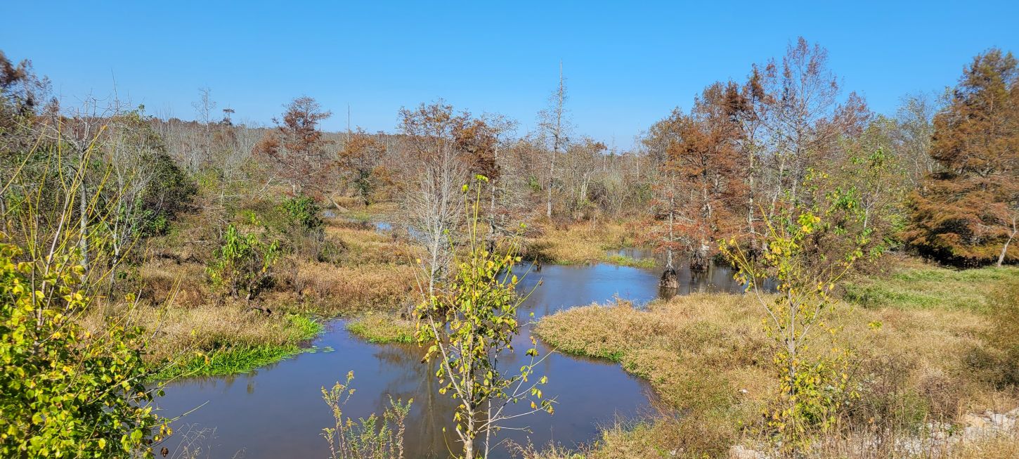 Our Top 10 Protected Places: 40th Anniversary Spotlight