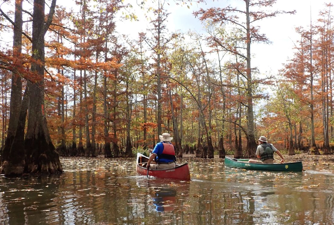 River Refections: The Wolf River’s Refreshing Turn to Autumn