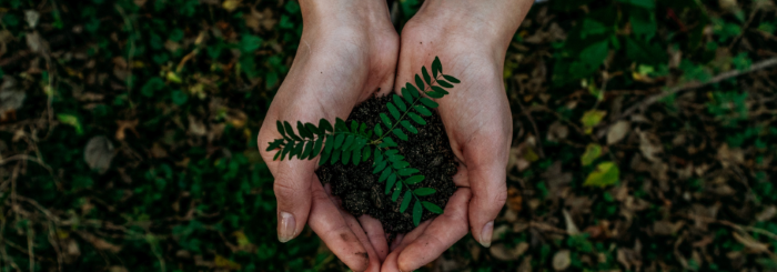 21st Annual Tree Planting with Wolf River Conservancy