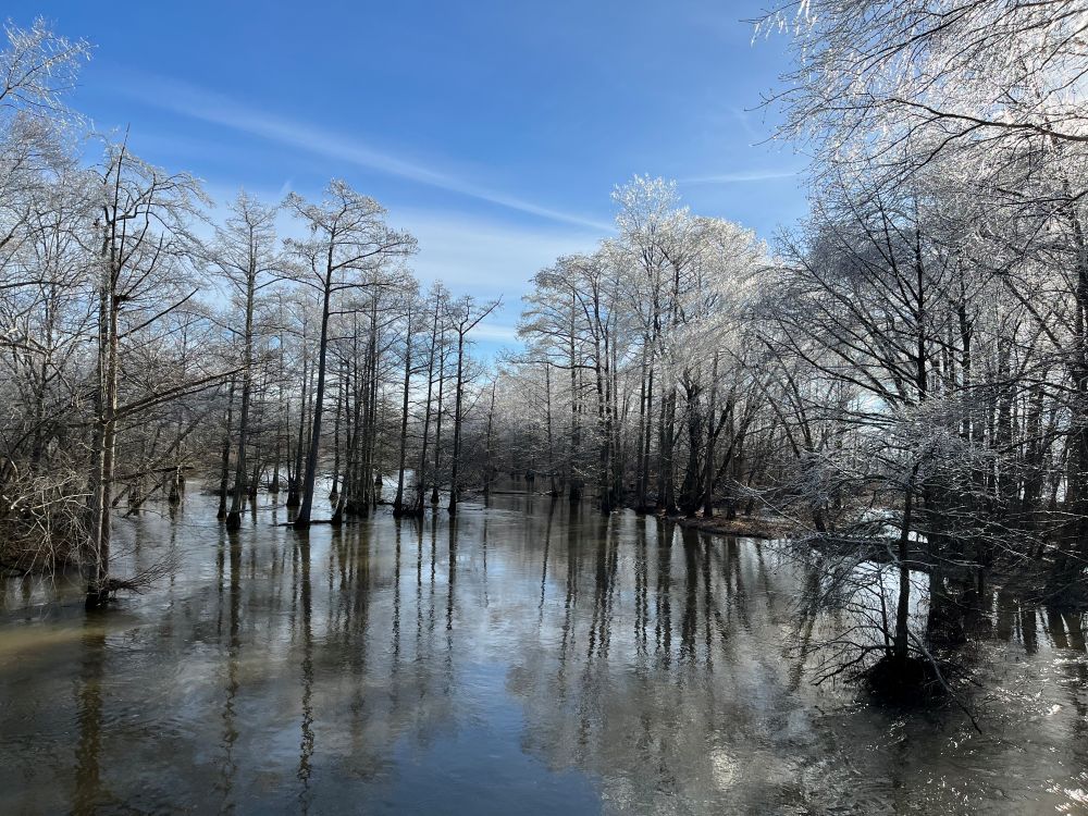 Cold-Weather Paddling: Beauty and Safety on the Wolf River