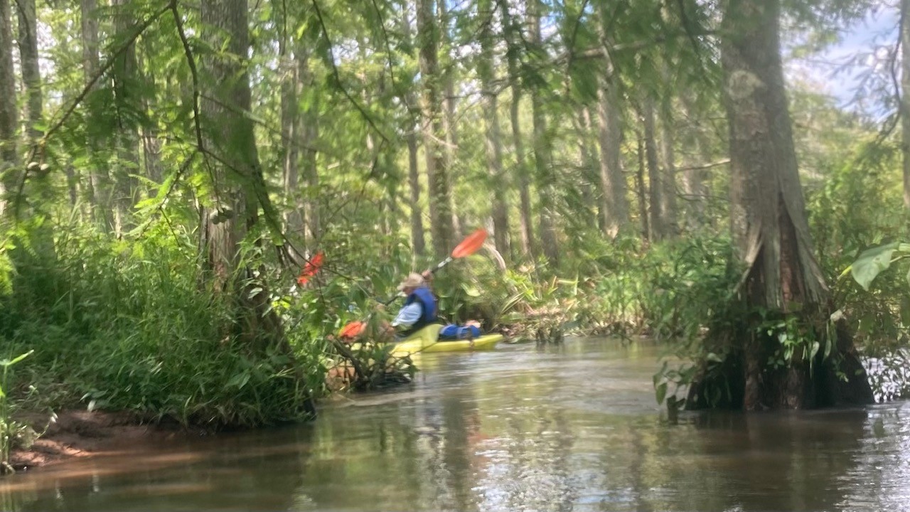 Ways to Give: Donor-Advised Funds