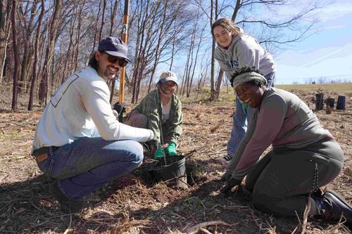 Volunteer at the WRRS