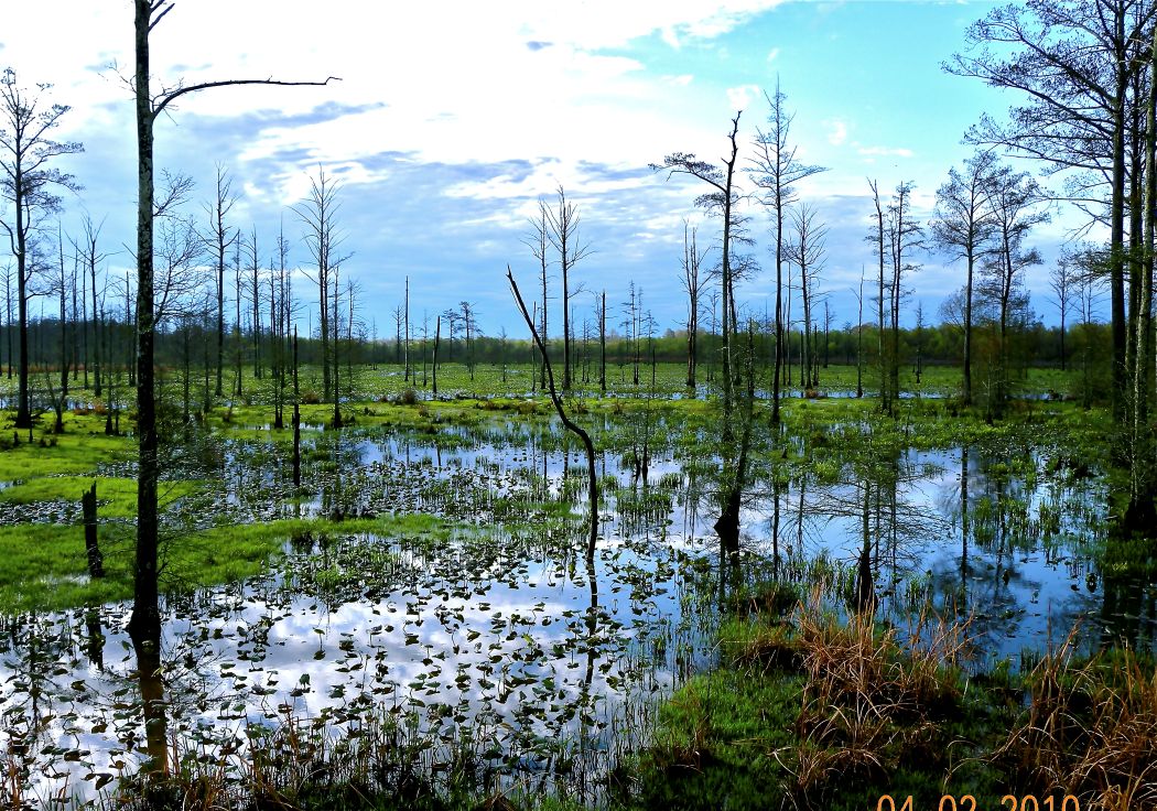 Spring, everything is blooming.  The weather is warmer, but the water is cold.
