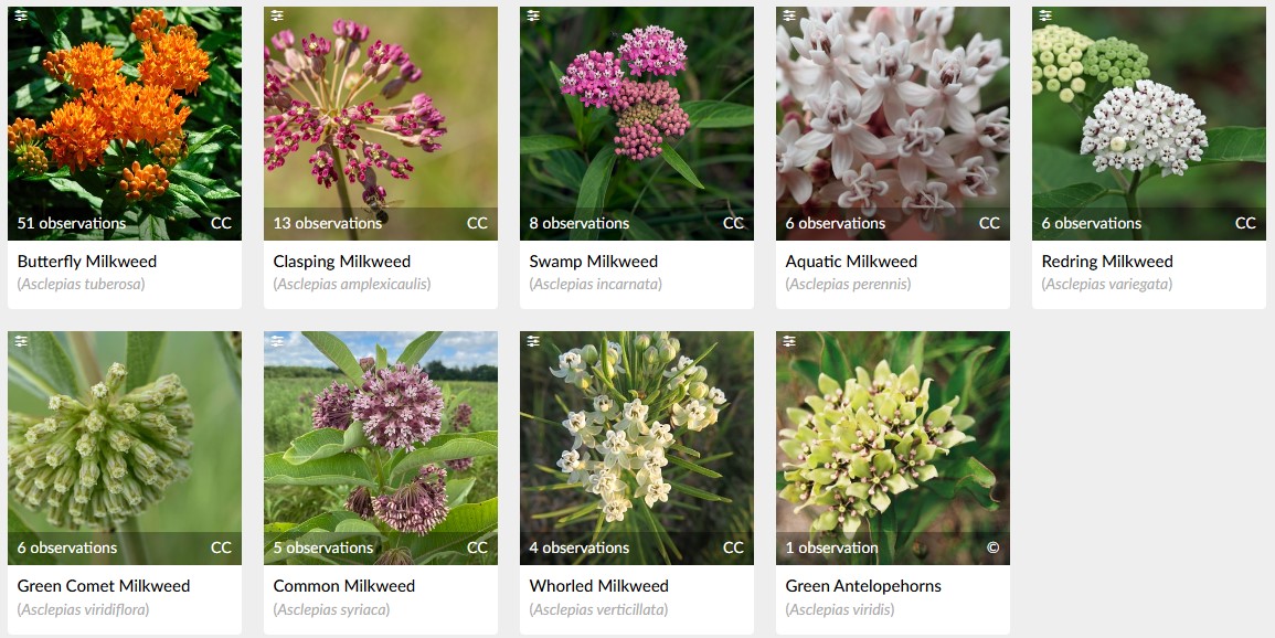 Species Diversity in the Wolf River Watershed 