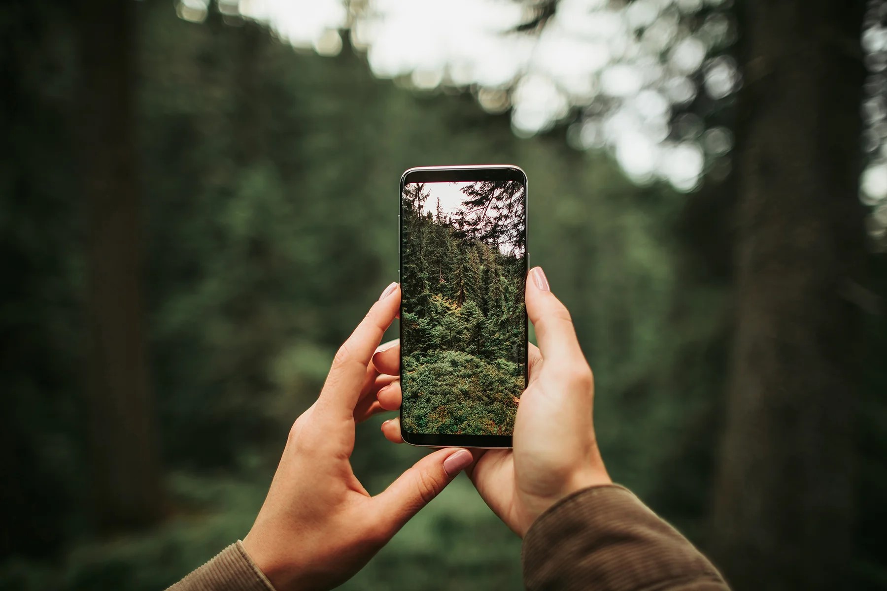 Photo Workshop: Unpacking Conservation and The Photographic Landscape