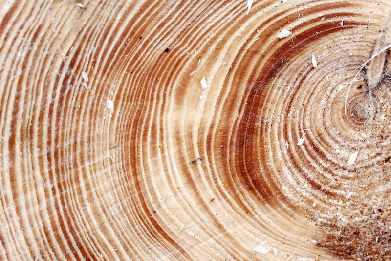 The Many Layers of Conservation Funding