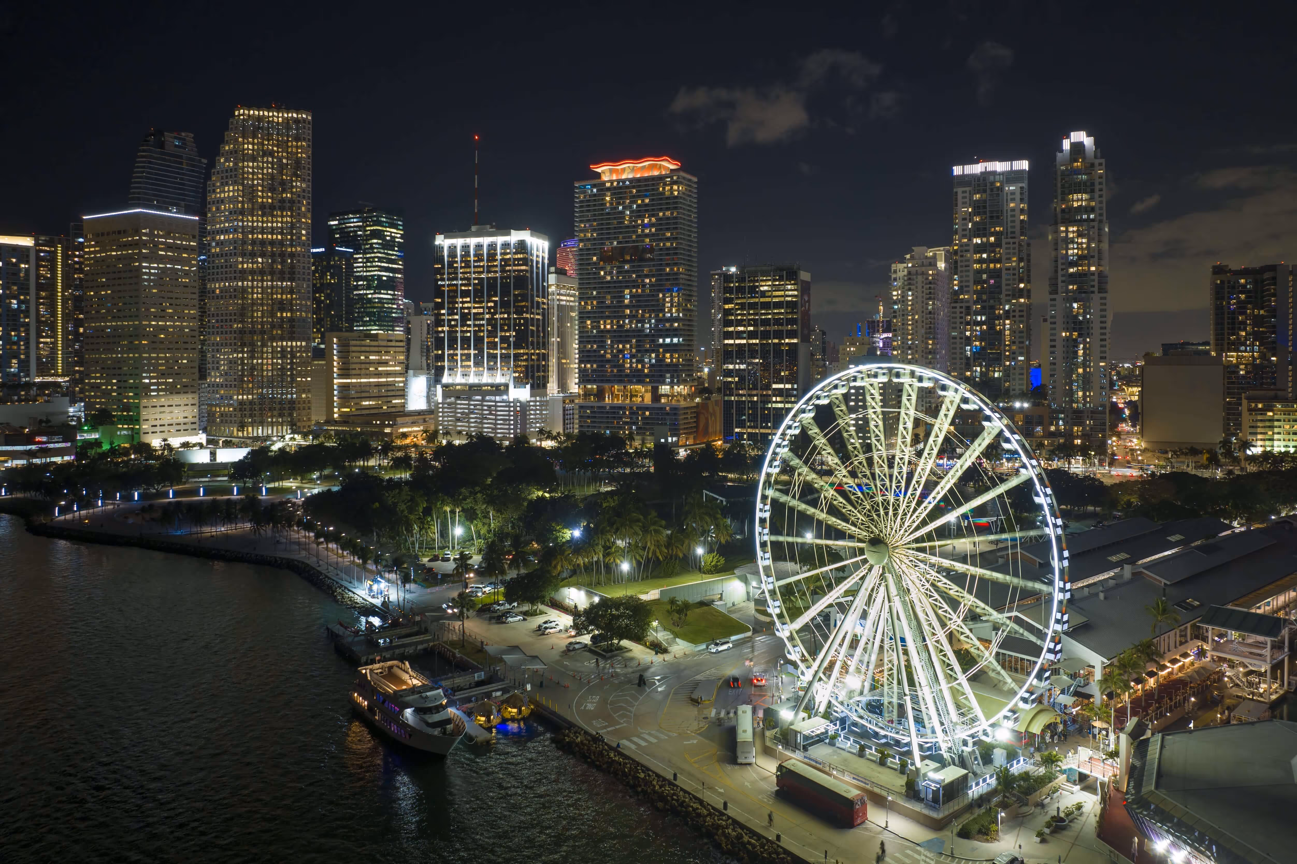 Observation wheel in Miami