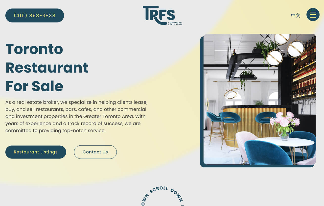 Faisal Susiwala Website Design