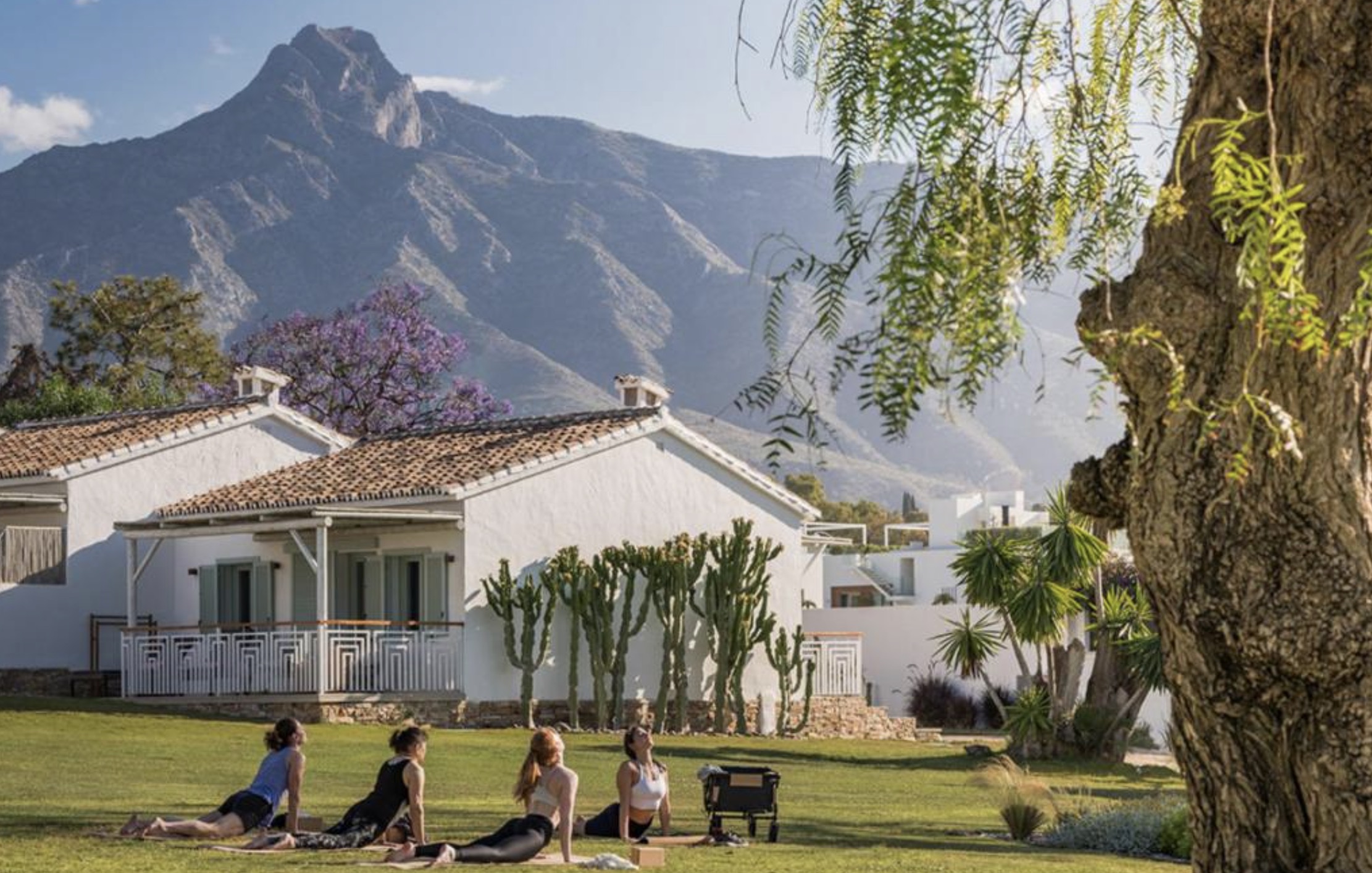 Morning yoga session in the hotel garden overlooking Sierra Nevada mountains