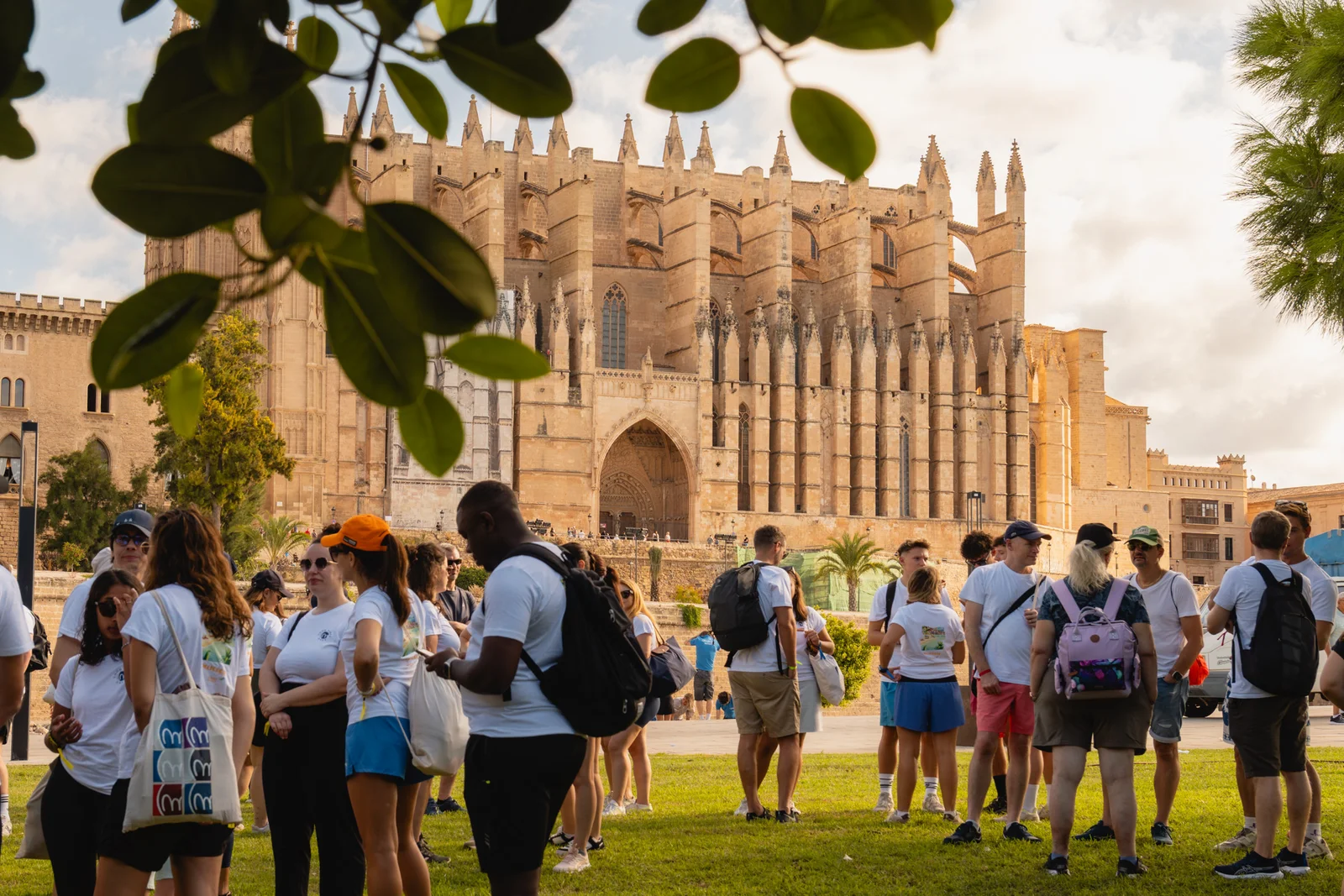 Palma City team exploration