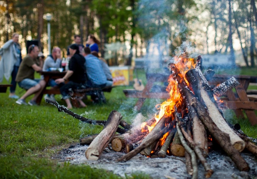 Group at a forest campfire