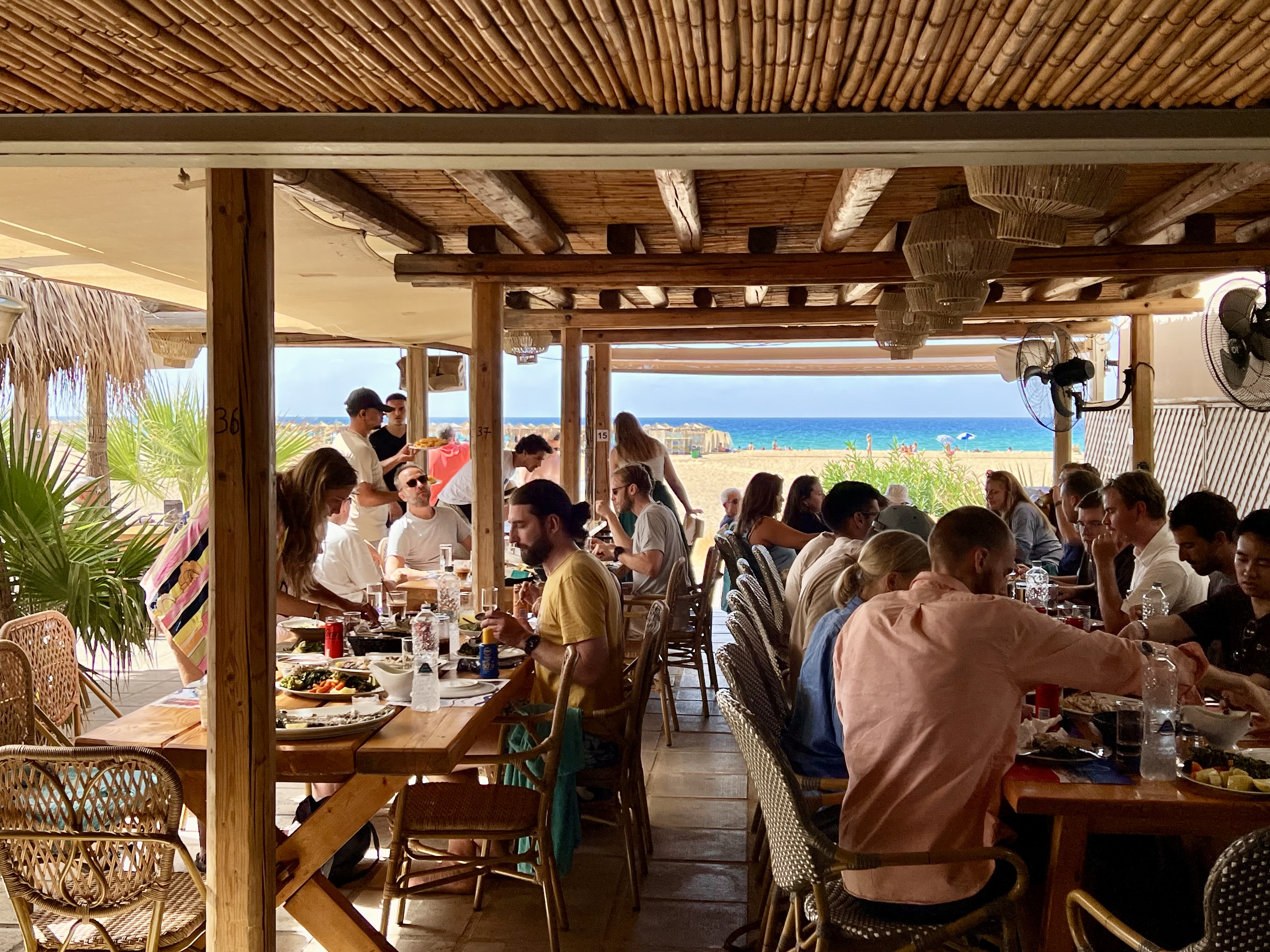 Team lunch by the sea during a company offsite, enjoying a shared meal outdoors
