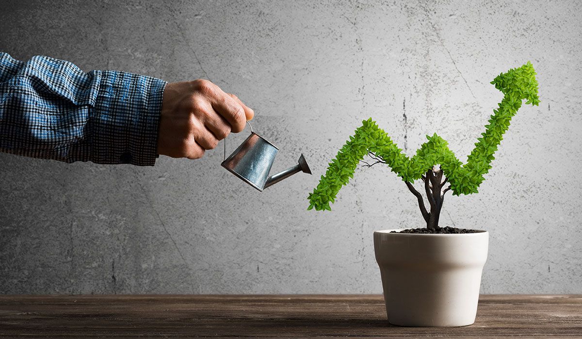 Factors Influencing This Rise and Impact on Businesses