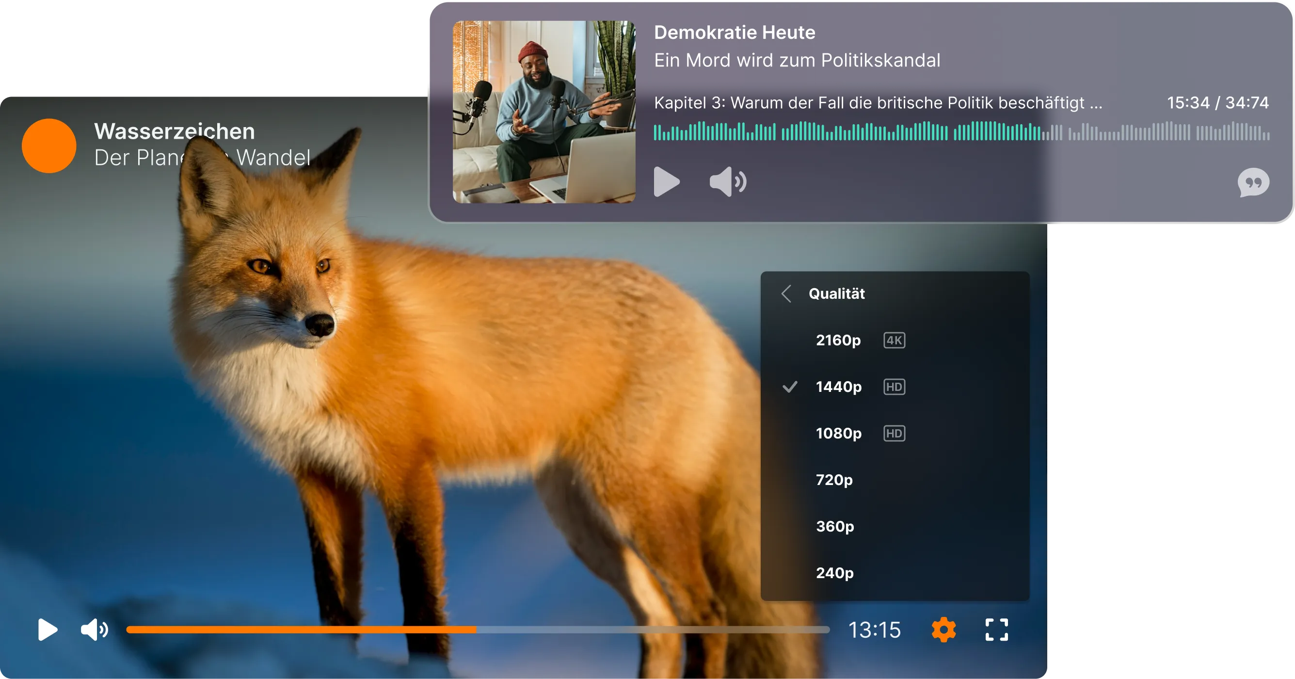 Video player showing fox video with control bars and settings menu visible.