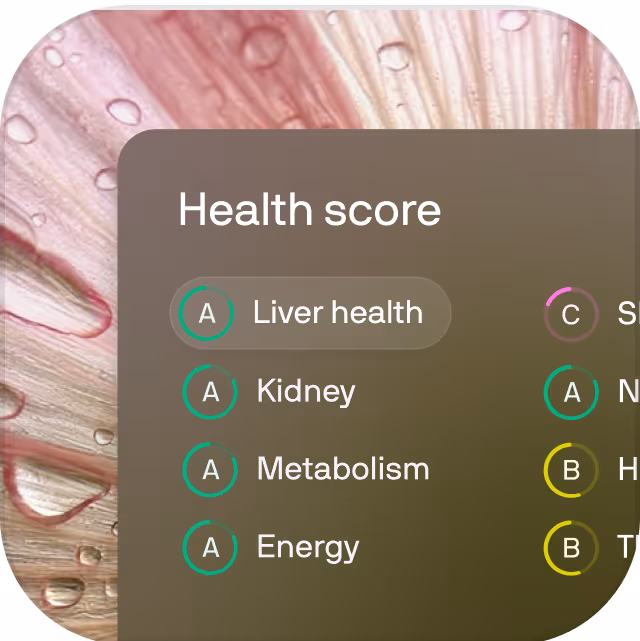 Health score chart showing grades: Liver health A, Kidney A, Metabolism A, Energy A, Sleep C, Nutrition A, Hydration B.
