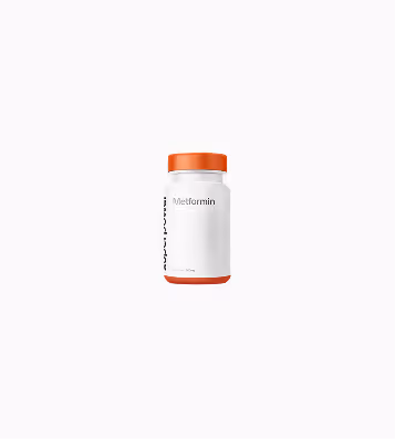Supplement