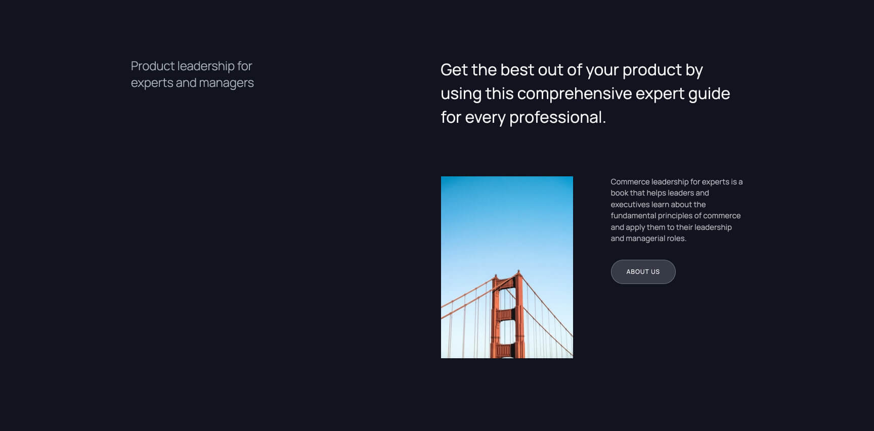 UI kit Webflow template Packs