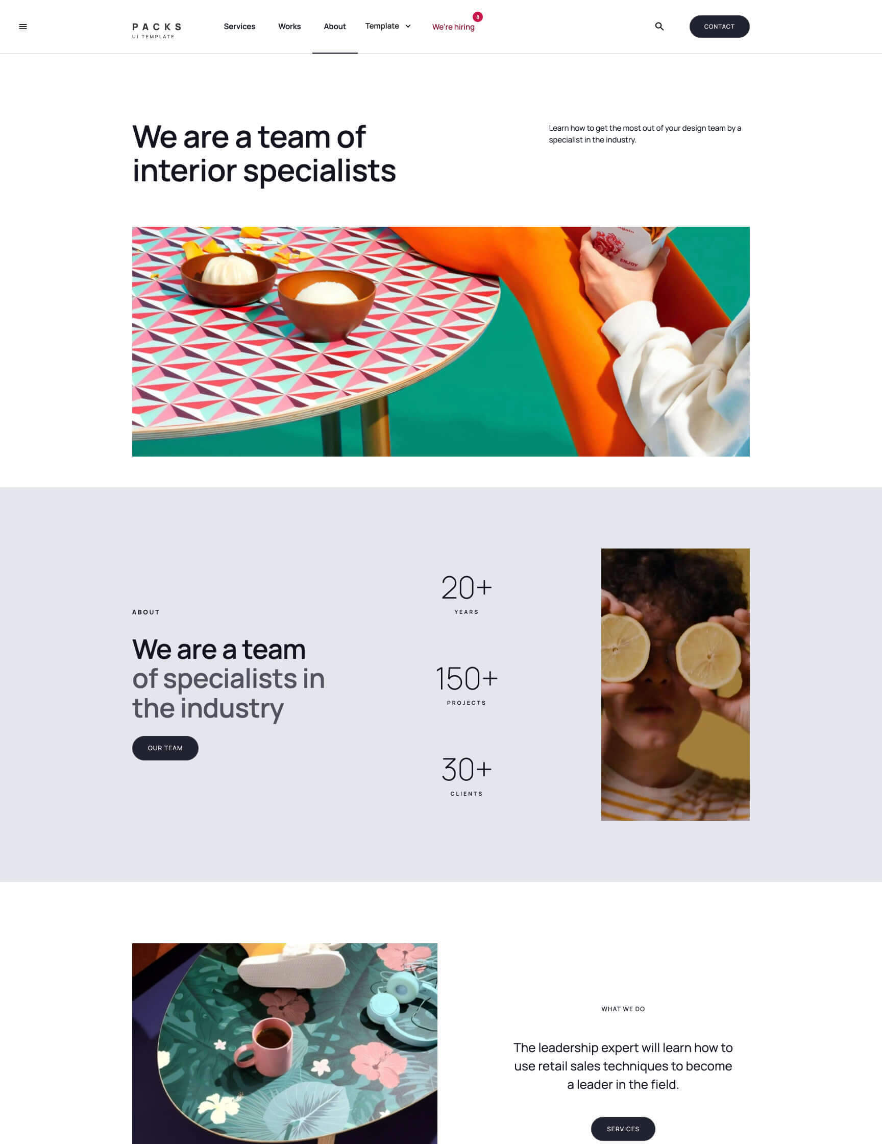 UI kit Webflow template webpage Packs