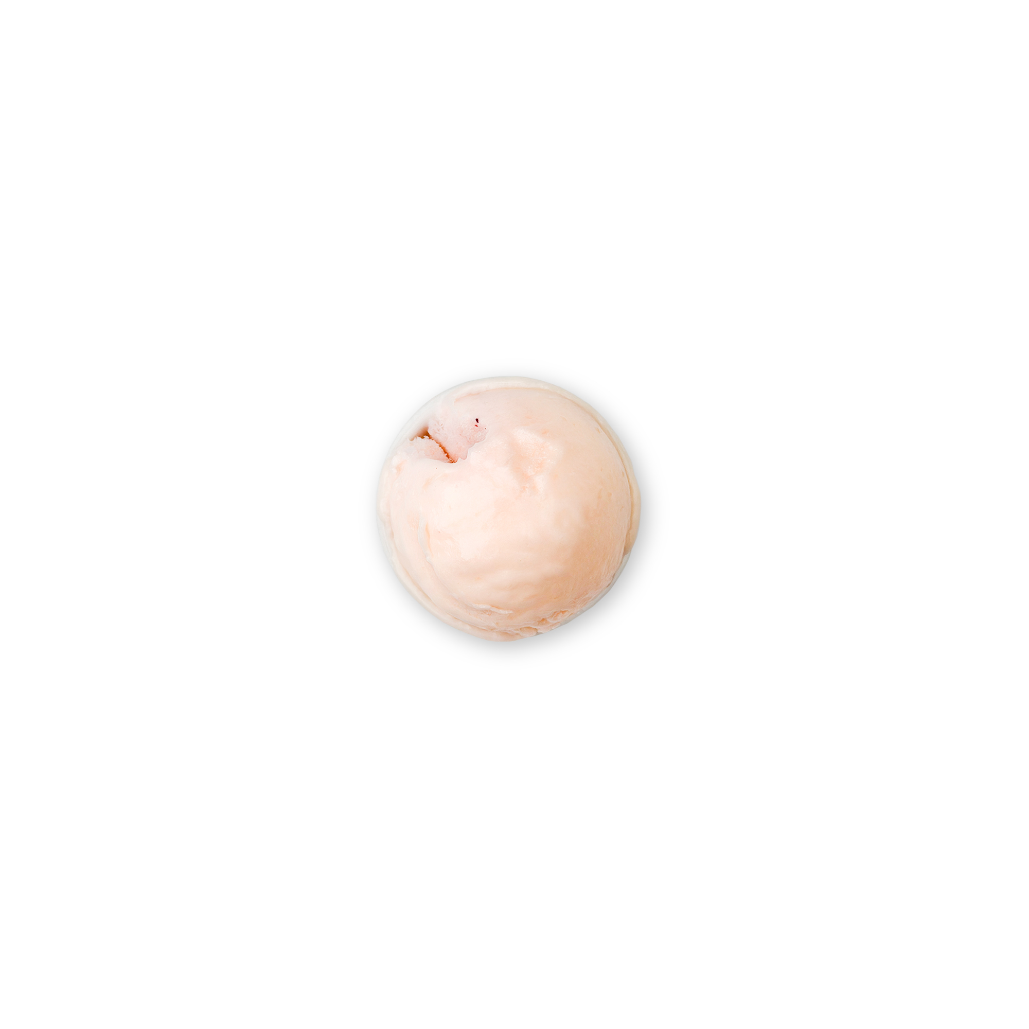 Melon