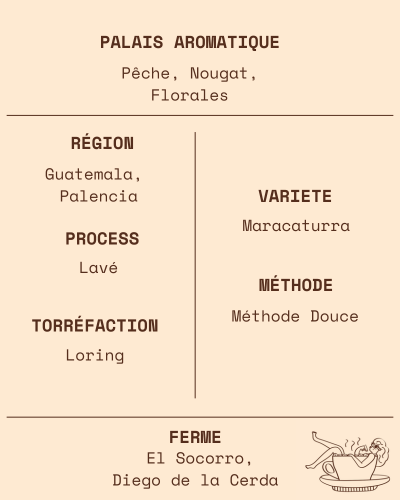 Carte d'identité du café du Guatemala El Socorro d'April Coffee sélectionné par Pesette. Un Maracaturra lavé d'exception aux notes de pêche, nougat et fleur.