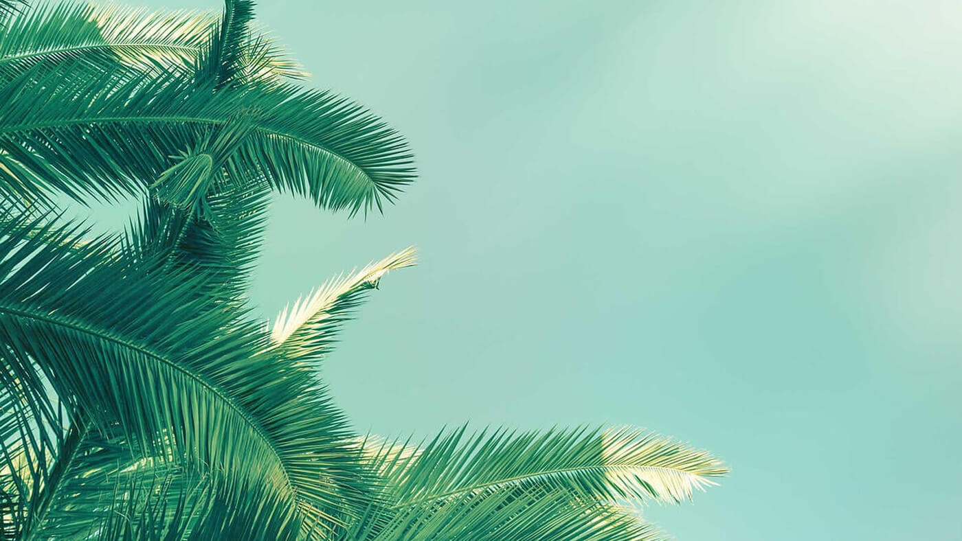 Summer '19 - Software Release