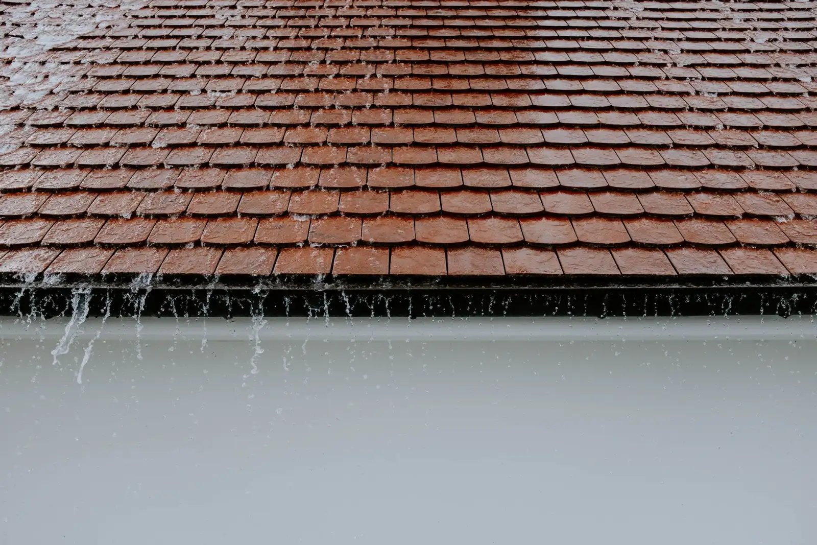 roof with gutter