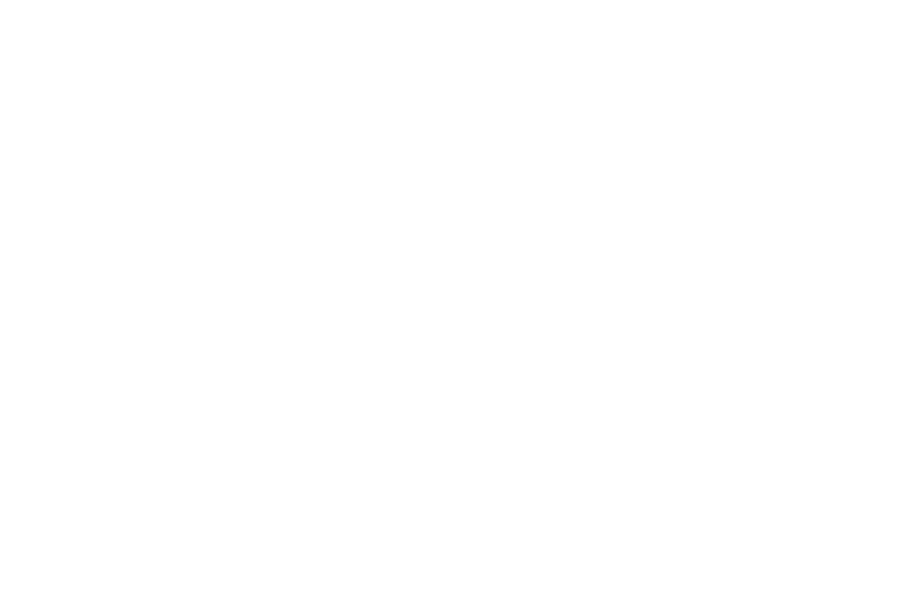Haldiram-logo