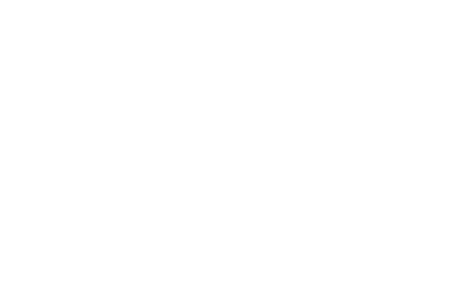 pinelabs-logo