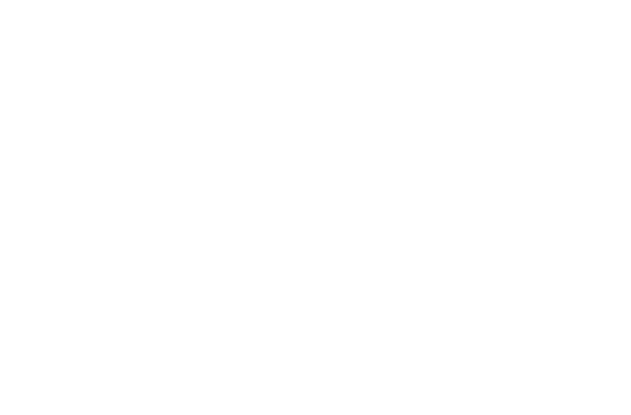 aceblend-logo