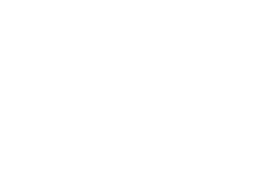 Mann-logo