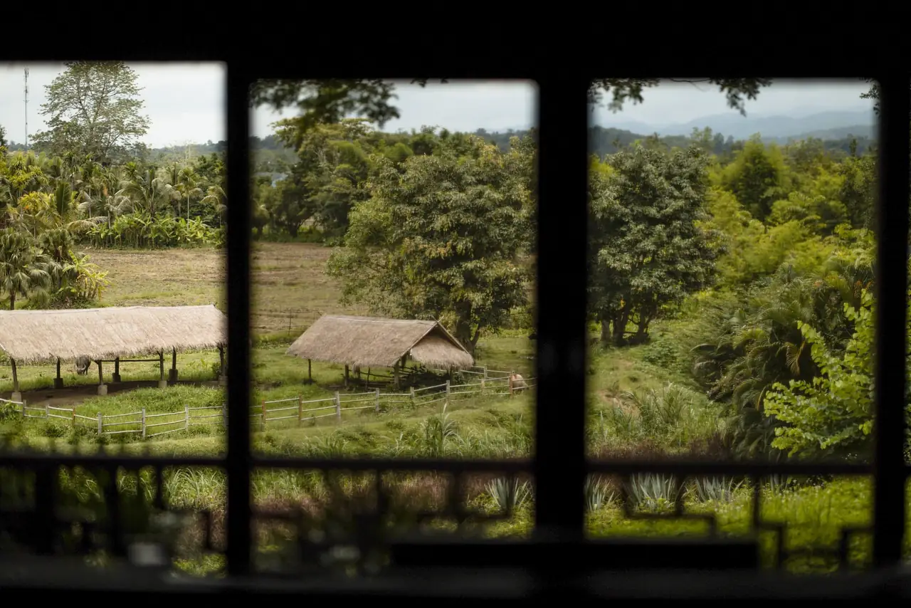 Three windows framing thatched huts and rice fields, with mountains in the distance.