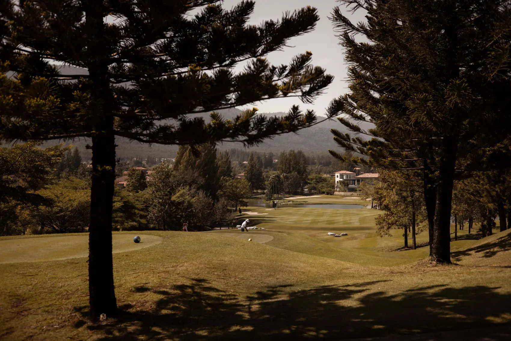 A view down the fairway between pines, with villas and mountains in the distance.