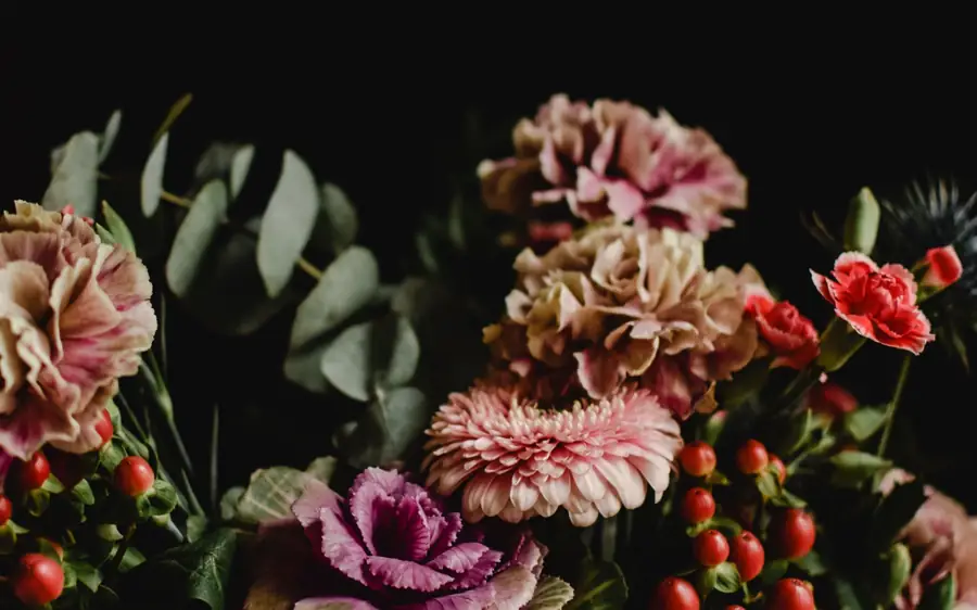 Flowers against black