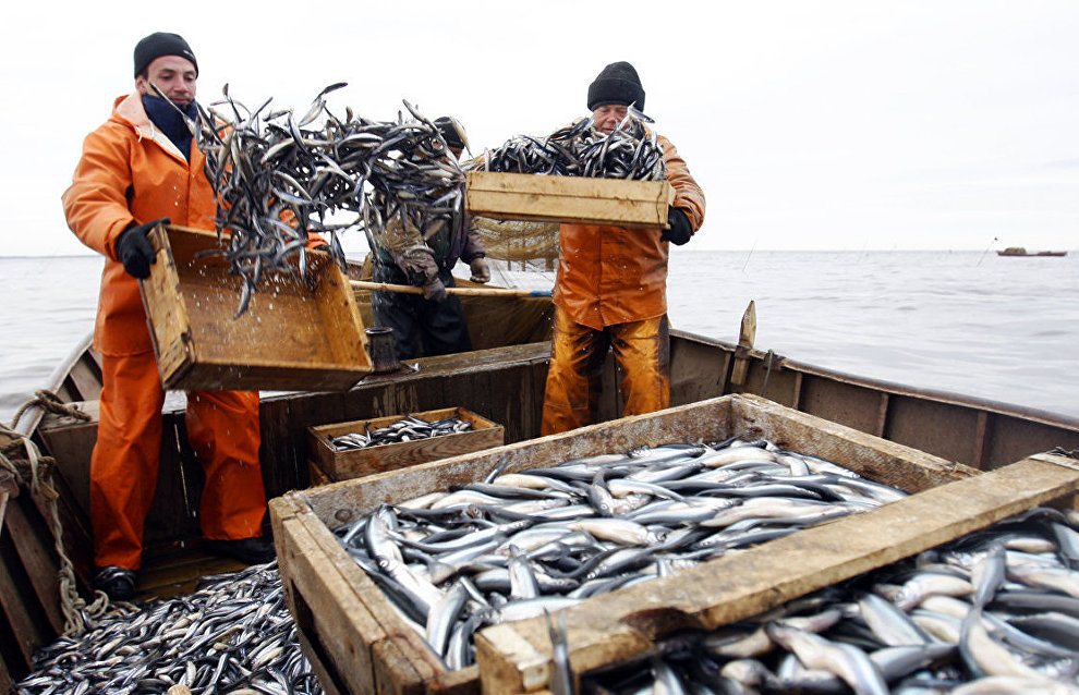 Arctic fishing powers reach historic agreement