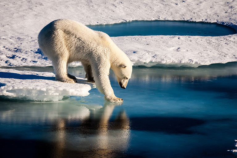 Climate change in the polar regions – how bad is it?