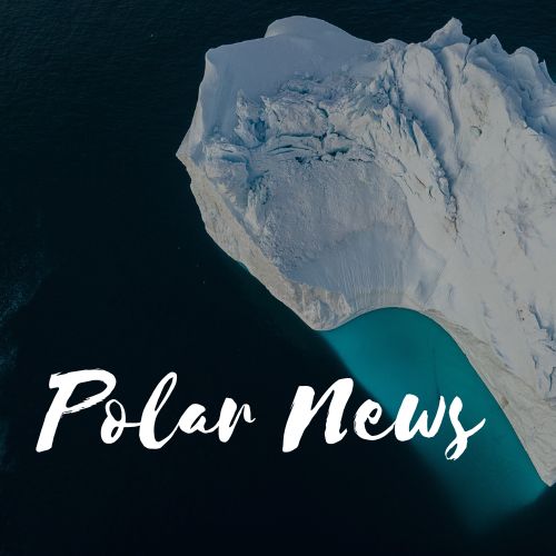Polar Regions News Roundup W/C 9th December 2024