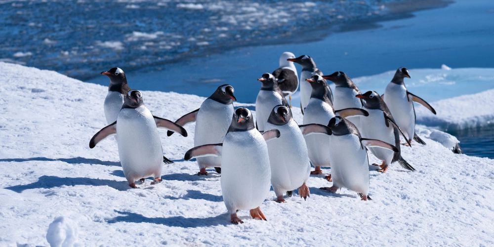 All eyes are on Antarctica